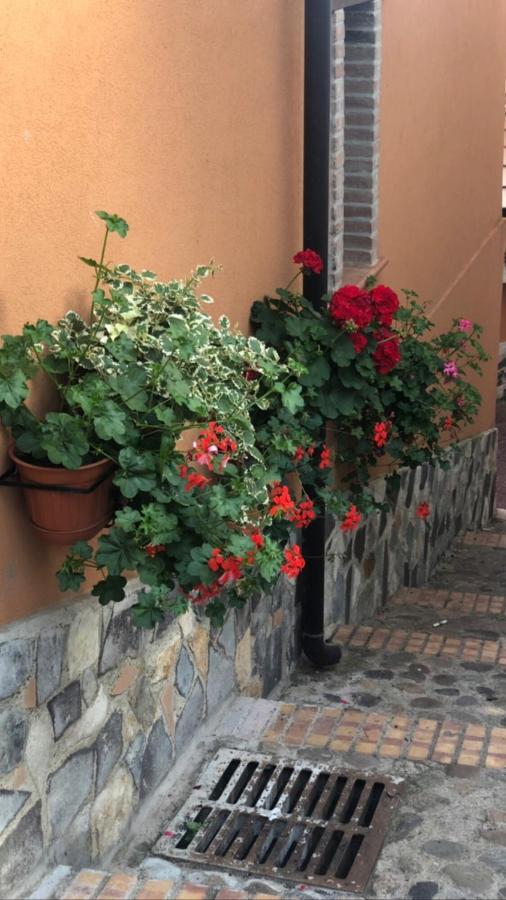 La Casetta Di Elena Lamezia Terme Exterior photo